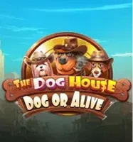 Dog House